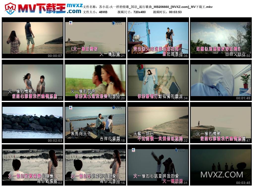 苏小花-火一样的情歌_国语_流行歌曲_MB206660